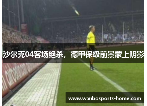 沙尔克04客场绝杀，德甲保级前景蒙上阴影
